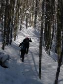 Klik za večjo sliko